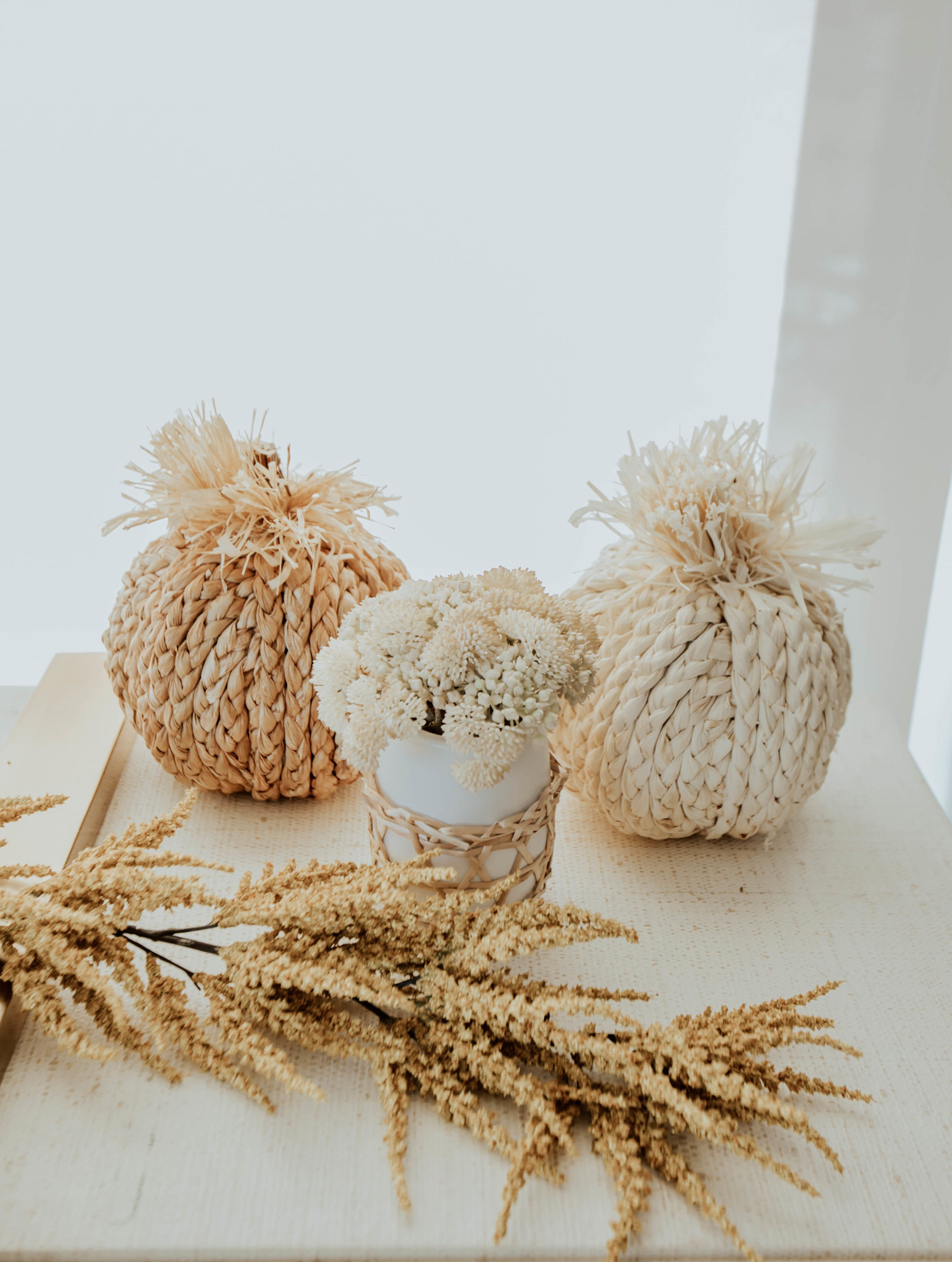 Reno bloggers Ashley Zeal Hurd and Emily Wieczorek share their favorite fall decor. They found great items at all price points!
