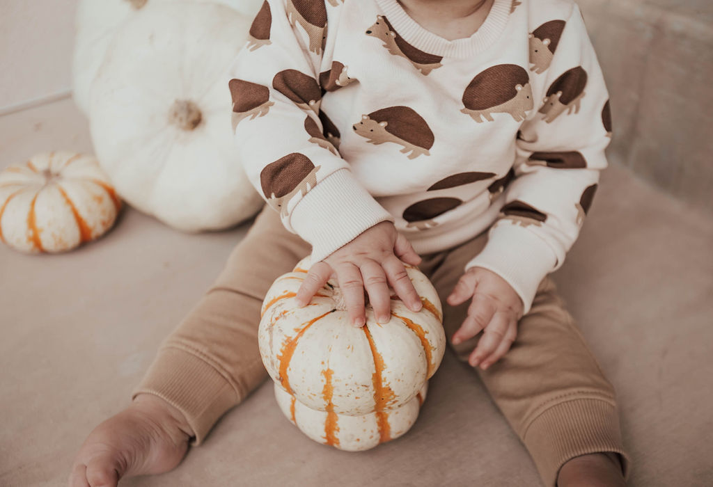 Reno blogger, Ashley Zeal Hurd from The Ashley & Emily blog shares her favorite places to get neutral baby clothes for fall. 