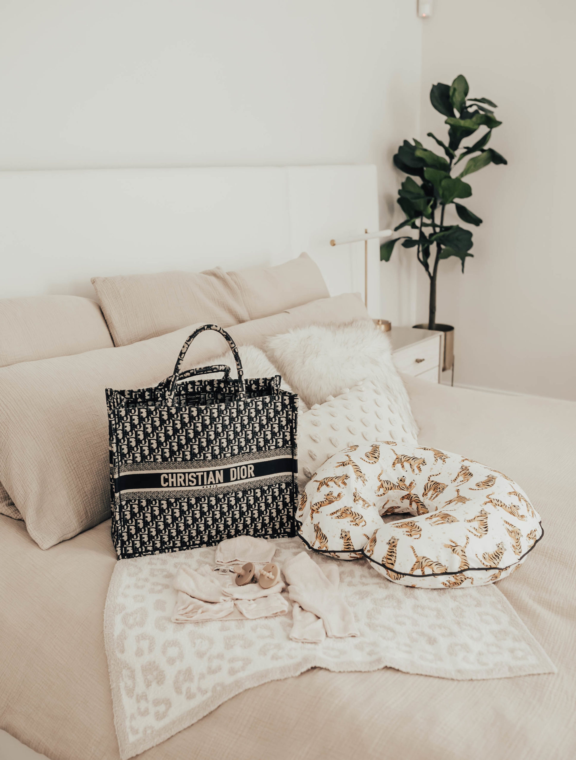 Reno blogger, Ashley Zeal Hurd, from The Ashley and Emily blog shares what she's packing in her c-section hospital bag. 
